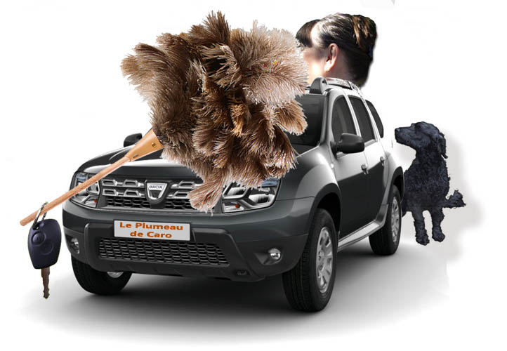 Le Plumeau de Caroline