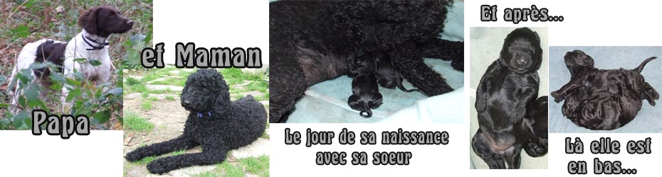 Les origines de ma Gisquette